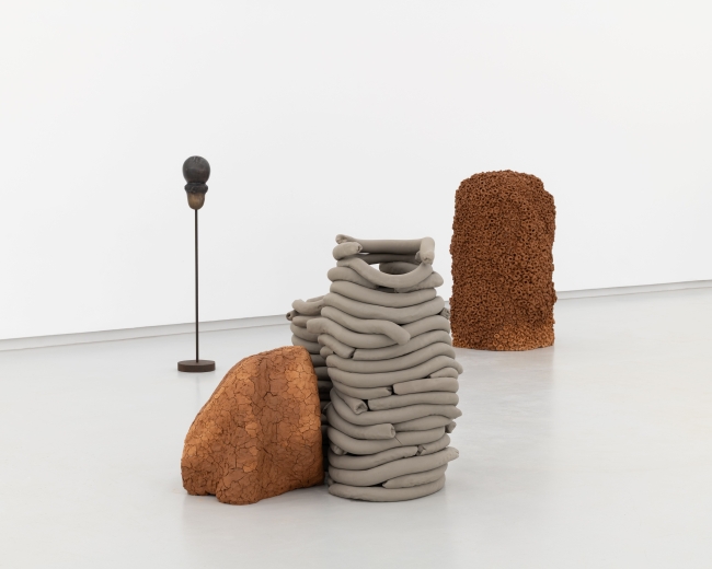 obras de Anna Maria Maiolino