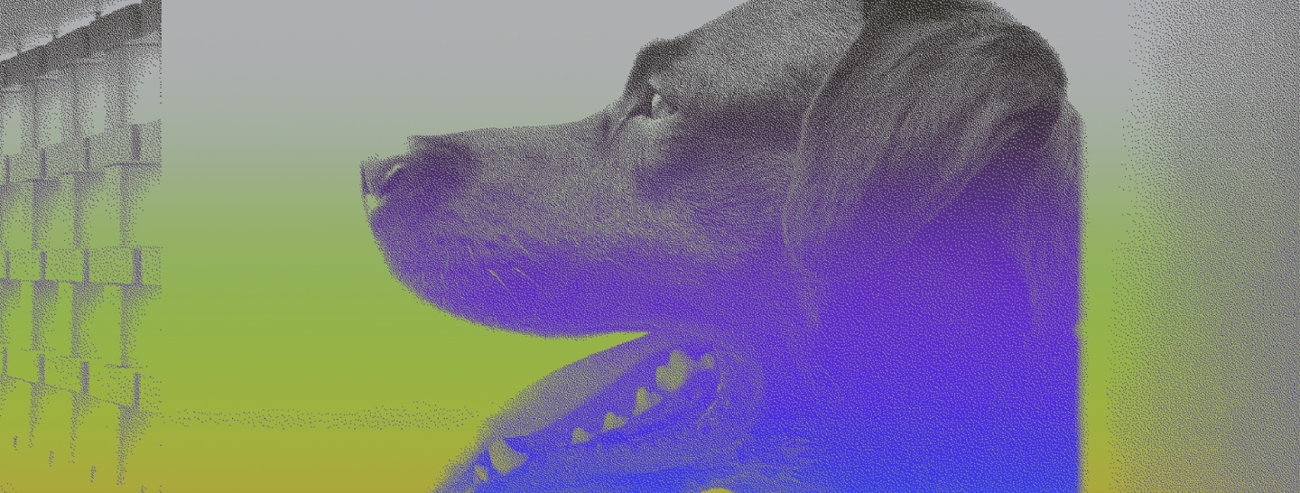 Imagem da exposição