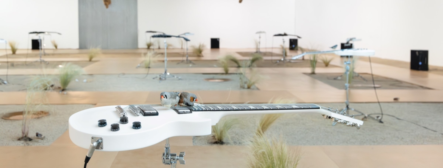 Dois pássaros pousados numa guitarra elétrica branca integrada numa instalação artística com instrumentos musicais e relva num espaço expositivo.
