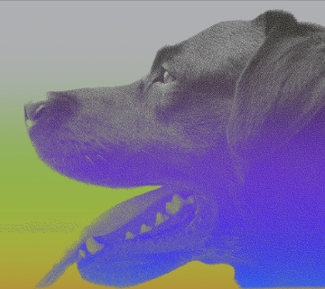 imagem da exposição