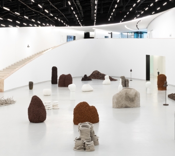 Obra de Anna Maria Maiolino